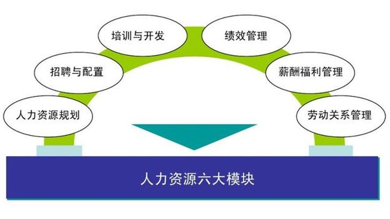 揭秘猎头代理加盟：条件解析与行业洞察