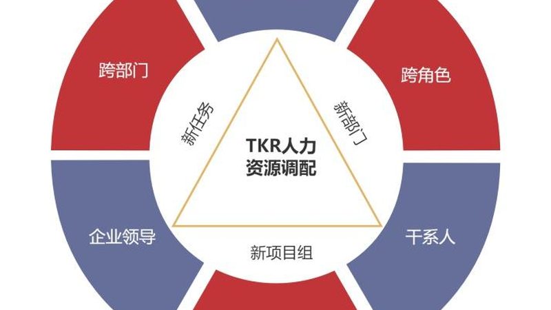 人力资源管理系统：功能参数对比解析